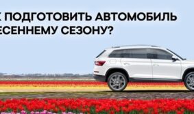 Подготовка SKODA к теплому сезону. Профессиональные секреты