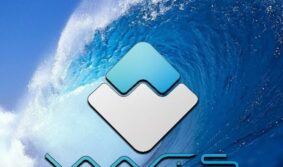 «Цифровую» дорожную карту совместно разработают НИПС и компания Waves