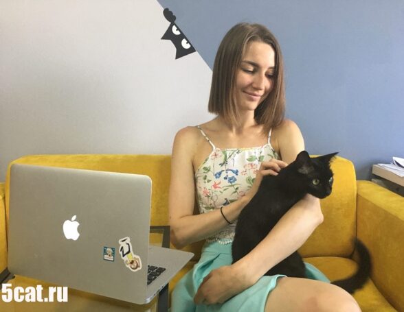 Менеджера по уходу за котом приглашает на работу в офис агентство 5 CATS