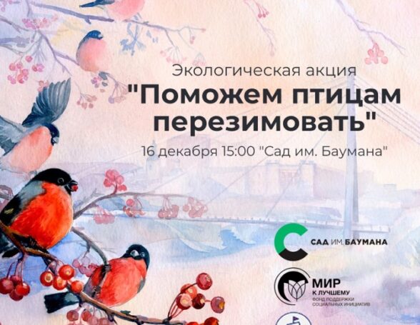 В «Саду им. Баумана» помогут птицам перезимовать