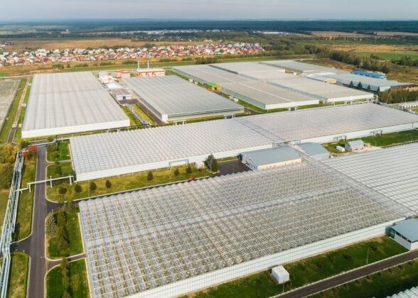 Компания «АГРИСОВГАЗ» представила инновационные решения для тепличных комплексов на выставке «Защищенный грунт России – 2022»
