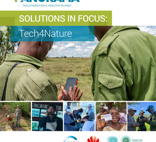 МСОП и Huawei представили публикацию Tech4Nature о передовом опыте природоохранных мероприятий, опирающихся на технологии