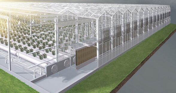 Продукцию в сфере тепличной отрасли представит «АГРИСОВГАЗ» на выставке «Iran agro 2023»