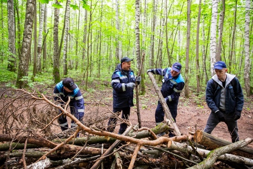 Пешие тропы для активного отдыха: в Нижнекамске появится «Зеленое кольцо здоровья»