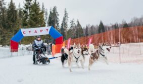 Предприниматели тоже люди: как хобби помогают сохранять здравый смысл в бизнесе