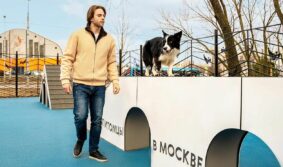 В 2025 году площадки проекта «Питомцы в Москве» открыли в 23 районах столицы